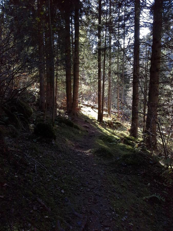 Lieu Secret Dans Les Alpes Suisses Villa Le Tretien Exterior foto